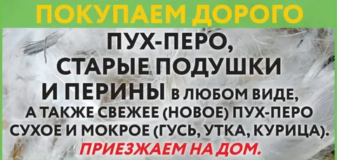 Покупка гусиного и утиного пуха-пера - Косметика в Оренбург