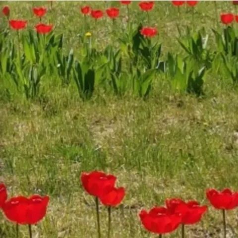 Продажа авиатора в Оренбурге - Техника для кухни и климатическая техника в Оренбург