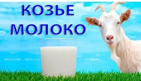Вкусное молоко и сыр - Барахолка в Оренбург