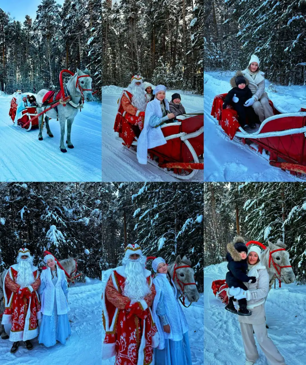 Новогодняя прогулка в санях с Дедом Морозом