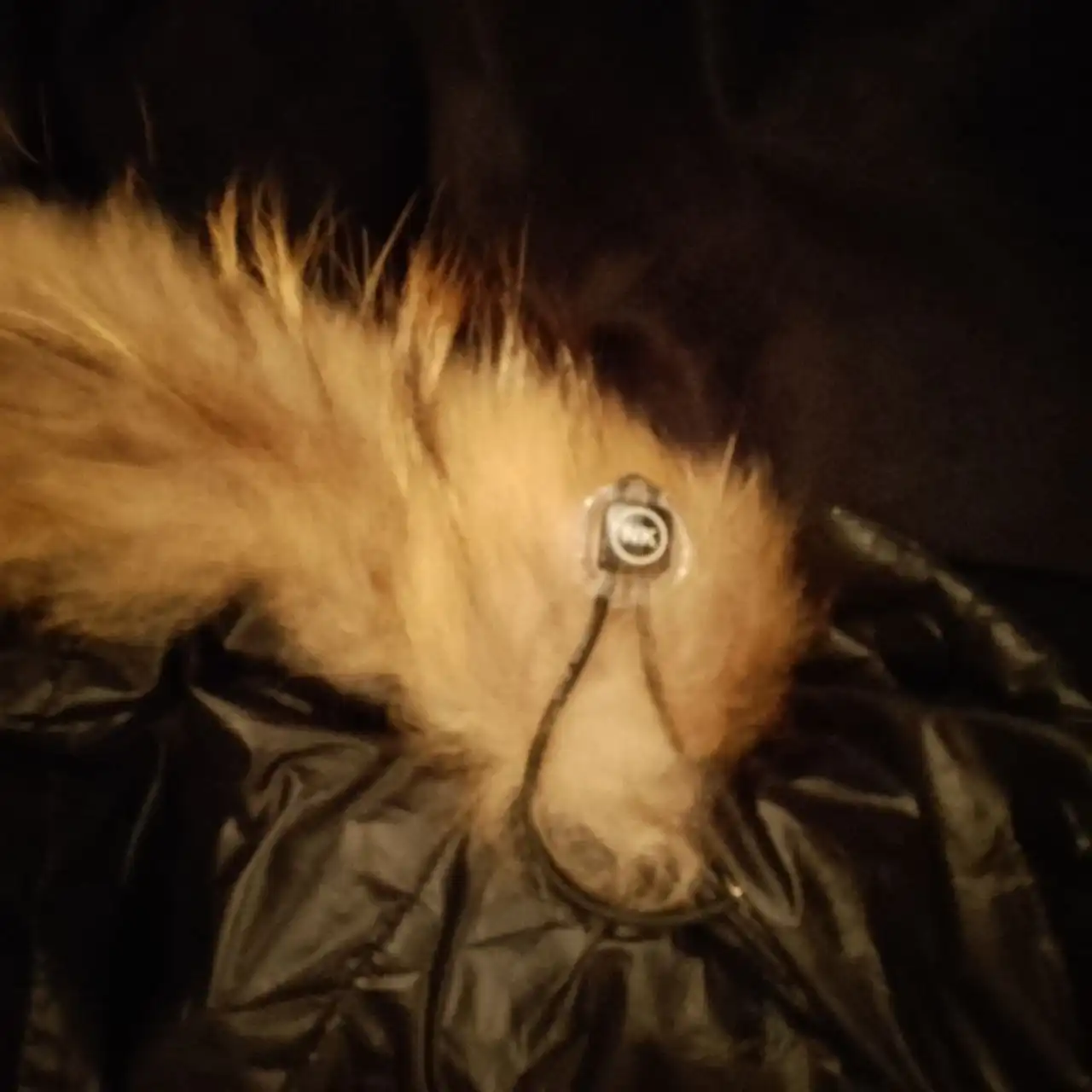 Детский пуховик 140 см