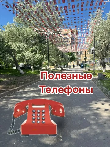 Услуги мастеров и студий в Кондратово - Фотограф в Кондратово