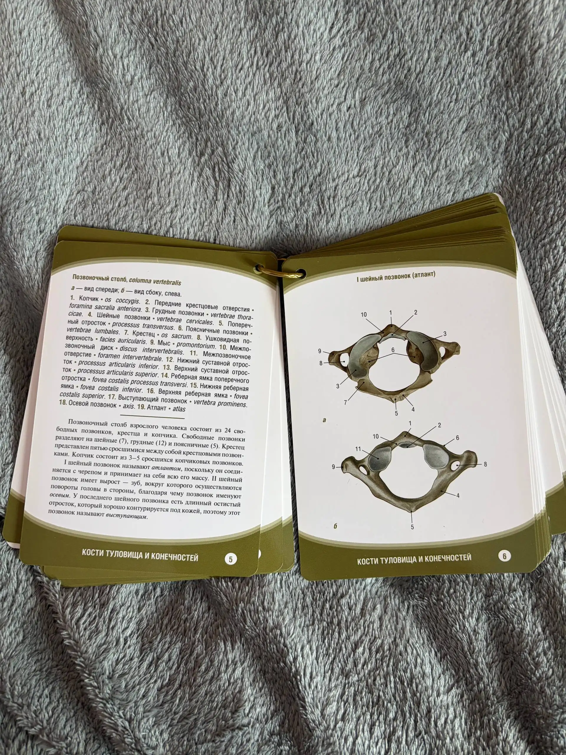Продам карточки по анатомии и книги - Барахолка в Кондратово