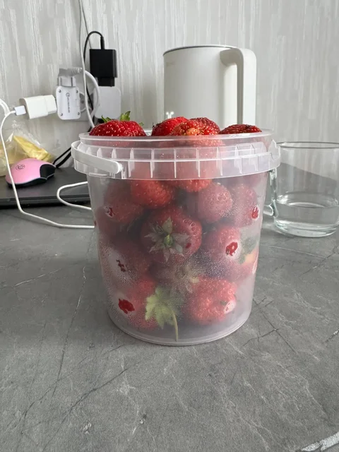 Продажа клубники - Для дома и дачи в Кондратово