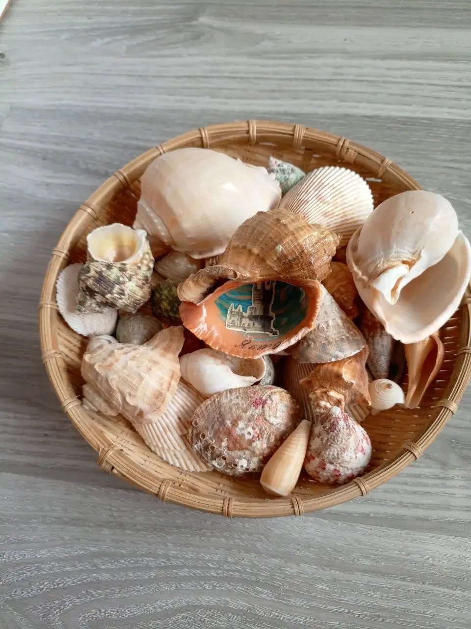 Ракушки из Крыма - Барахолка в Неизвестно