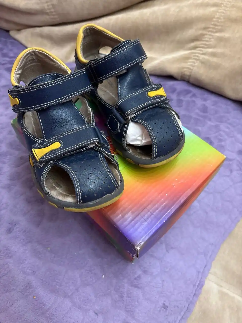 Отдам до завтрашнего вечера