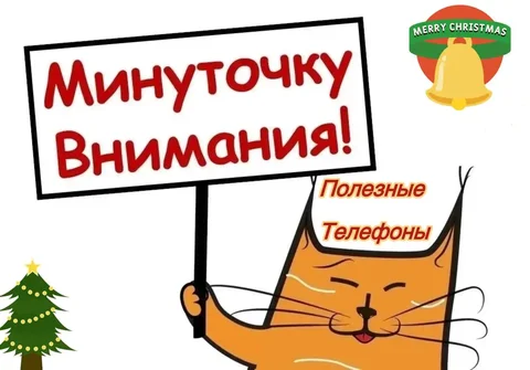 Полезные телефоны на январь: услуги красоты, ремонта и обучения - Услуги в Кондратово