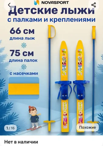 Продажа лыж в Кондратово - Комнатные растения в Кондратово