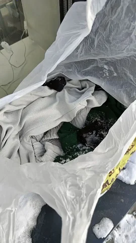 Пакет с вещами на подоконнике - Продукты питания в Кондратово