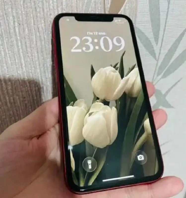 Продам iPhone 11 64 ГБ - Смартфоны (Электроника) в Кондратово