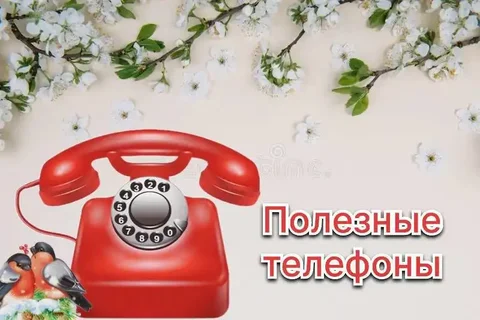 Полезные телефоны Февраль Кондратово - Мебель на заказ в Кондратово