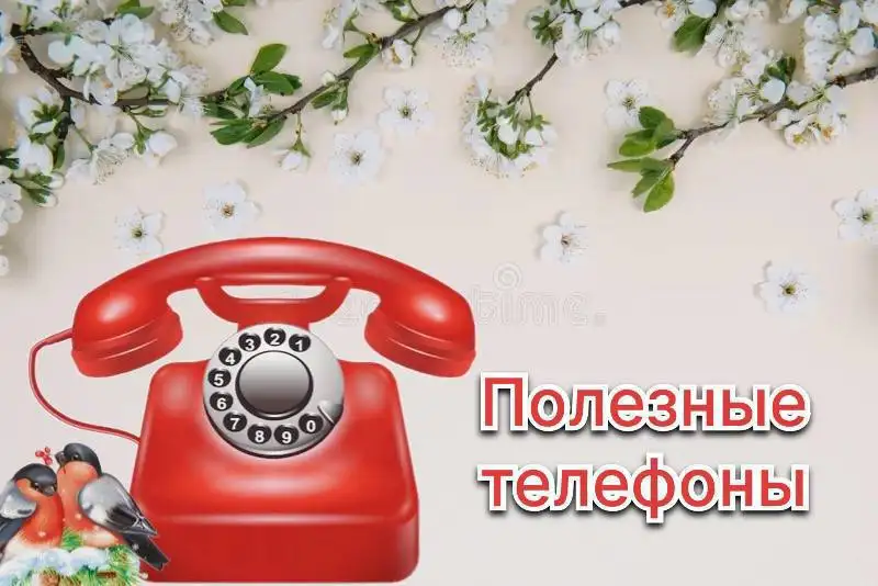 Услуги в Кондратово - Услуги в Кондратово