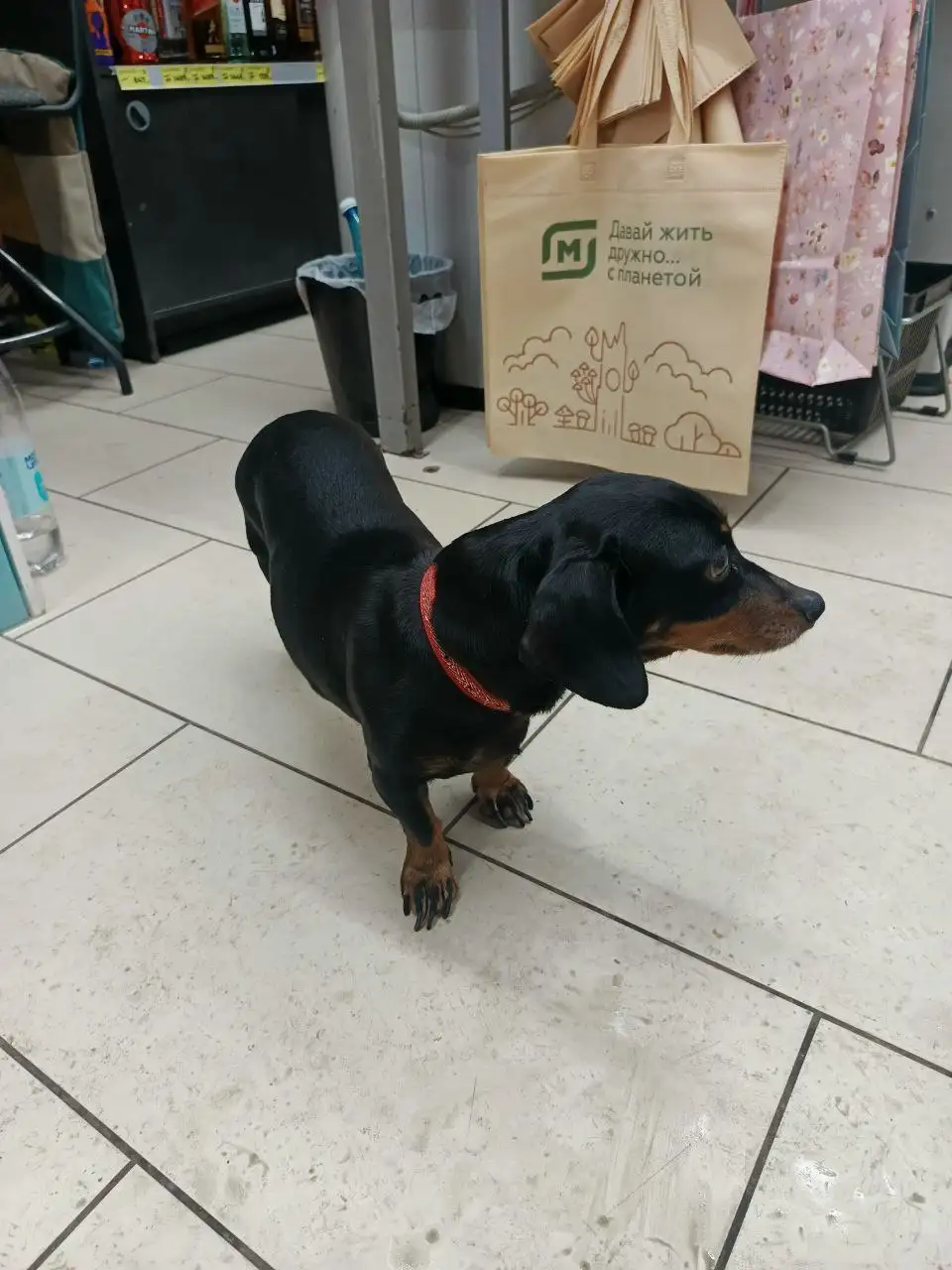 Косметика из магазина Магнит Косметик - Косметика (Красота и здоровье) в Кондратово