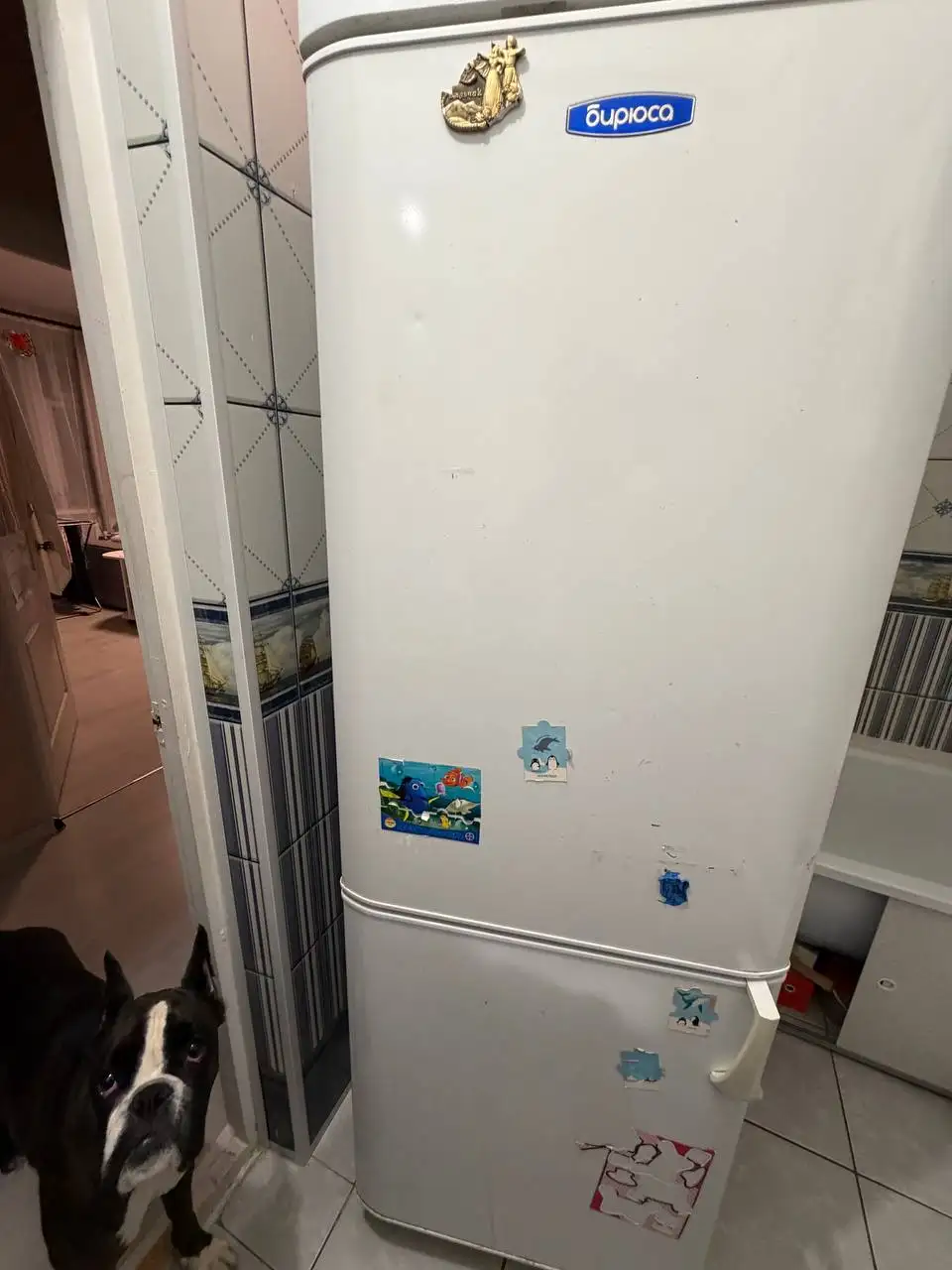 Продам рабочий холодильник - Барахолка в Кондратово