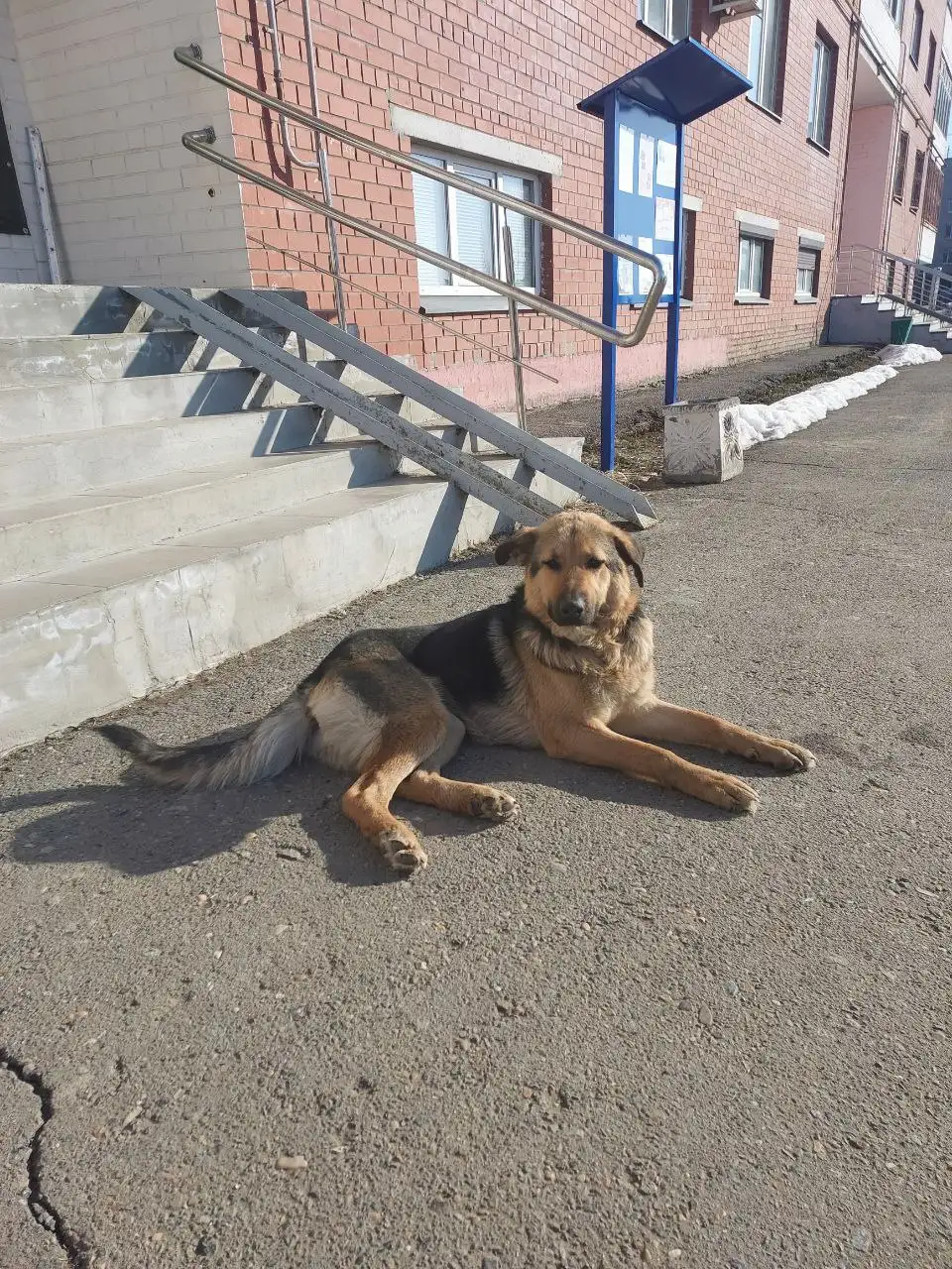 Объявление из чата Кондратово - Барахолка в Кондратово