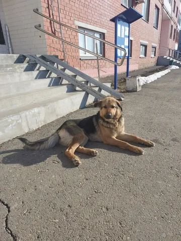 Объявление из чата Кондратово - Освещение в Кондратово