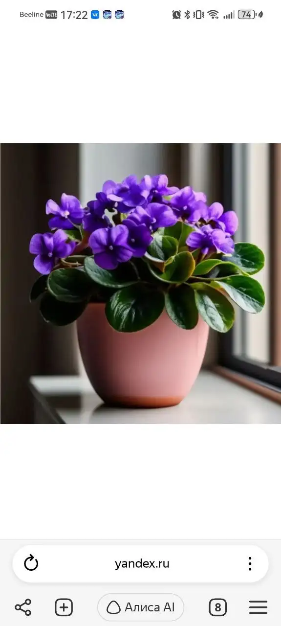 Объявления Кондратово - Барахолка в Кондратово