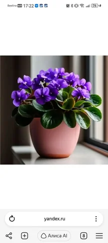 Объявления Кондратово - Аксессуары для волос в Кондратово