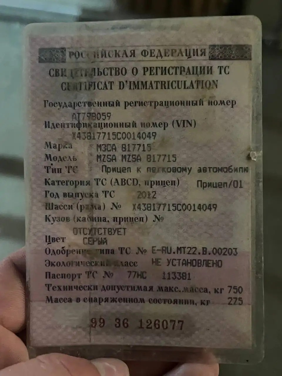 Потеряшка возле ТЦ Медовый - Животные в Кондратово