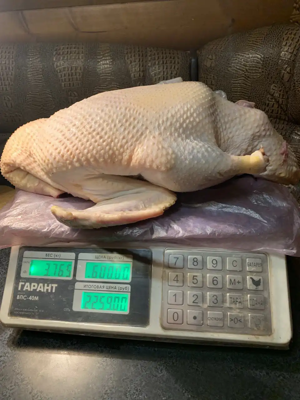 Продажа мускусной утки