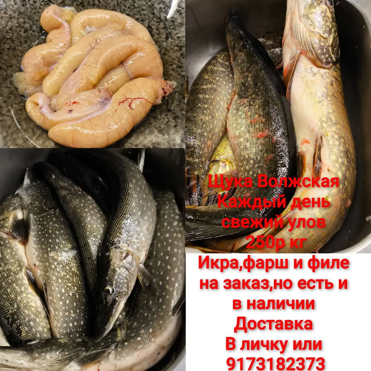 Продажа филе и фарша в Саратове