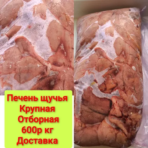 Услуги продажа в Саратове и Энгельсе - Образование в Саратов, Энгельс