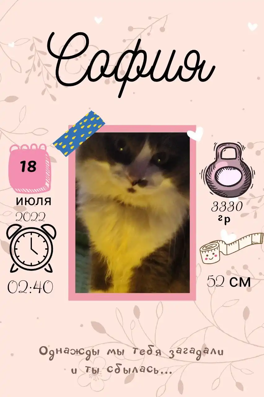 Продажа метрики для новорожденных в электронном виде - Услуги в Саратов