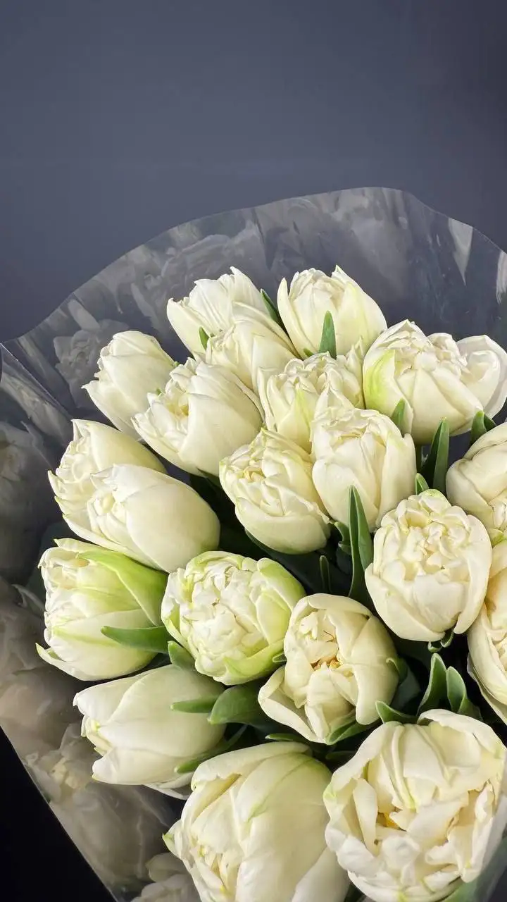 Продажа тюльпанов в Саратове - Цветы (Хобби и отдых) в Саратов