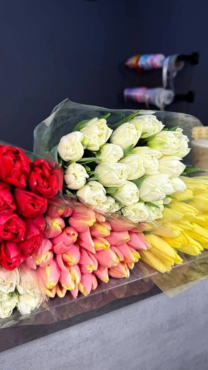 Продажа тюльпанов в Саратове - Цветы (Хобби и отдых) в Саратов