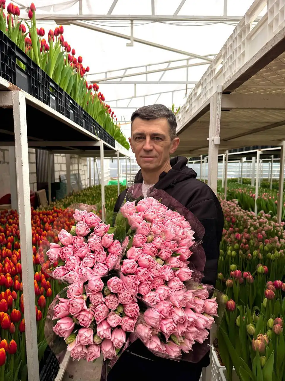 Продажа тюльпанов в Саратове - Цветы (Хобби и отдых) в Саратов