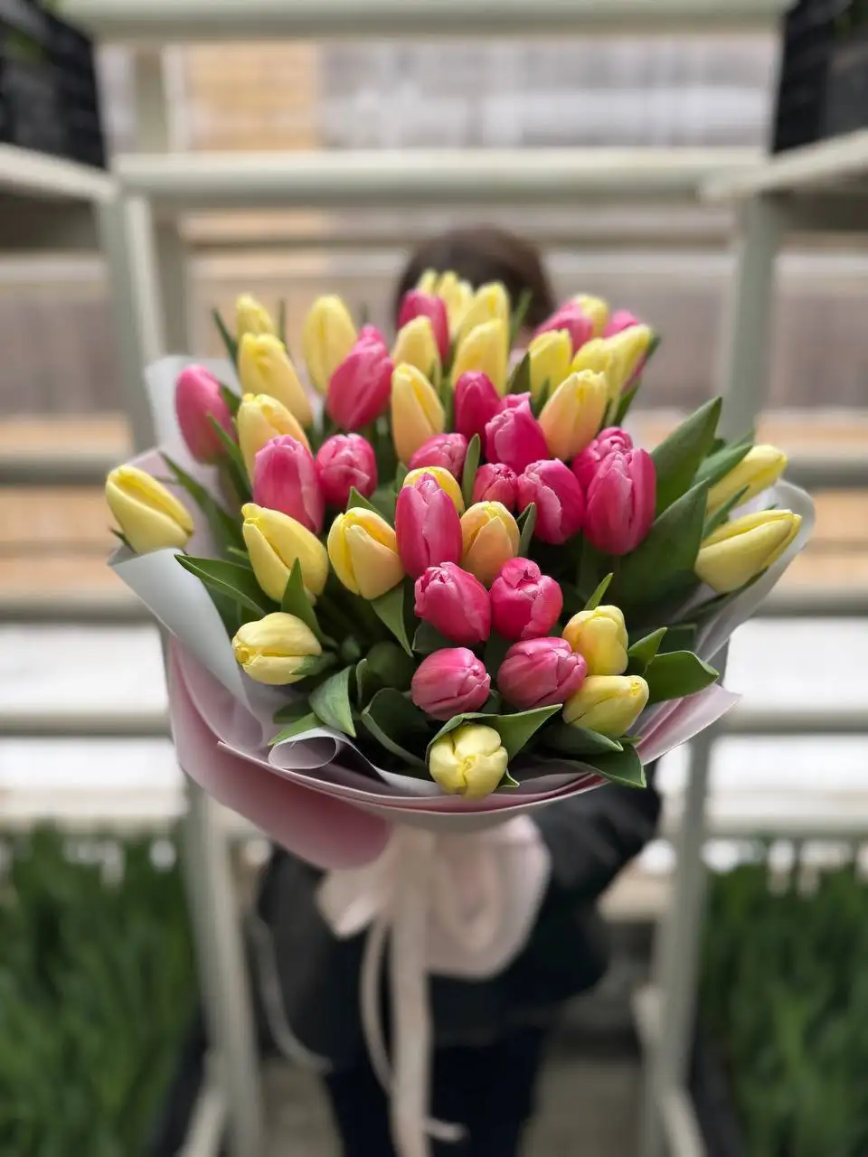 Продажа тюльпанов в Саратове - Цветы (Хобби и отдых) в Саратов