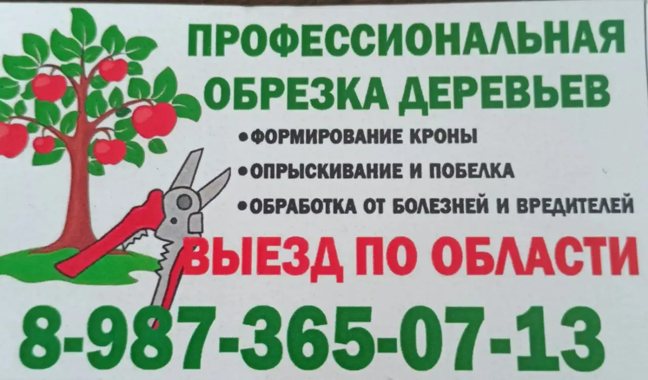 Услуги по обрезке сада - Благоустройство сада (Услуги) в Саратов