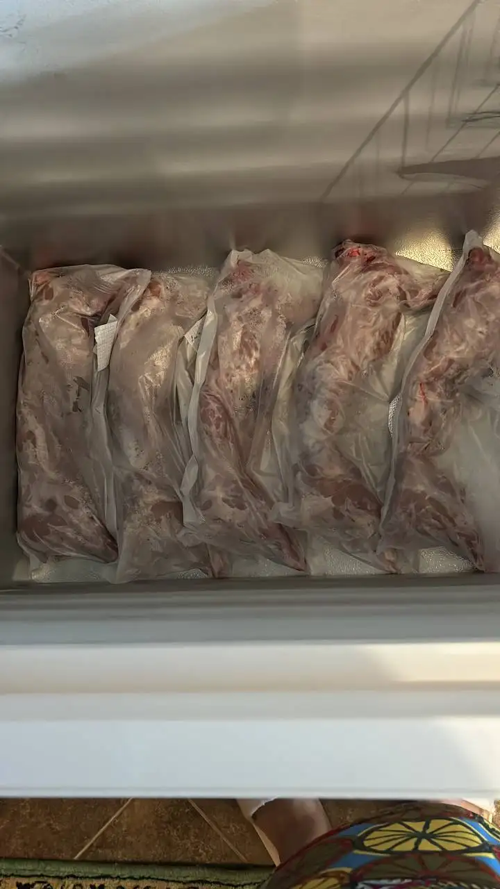 Продажа домашнего мяса кролика - Продукция животноводства (Животные) в Саратов