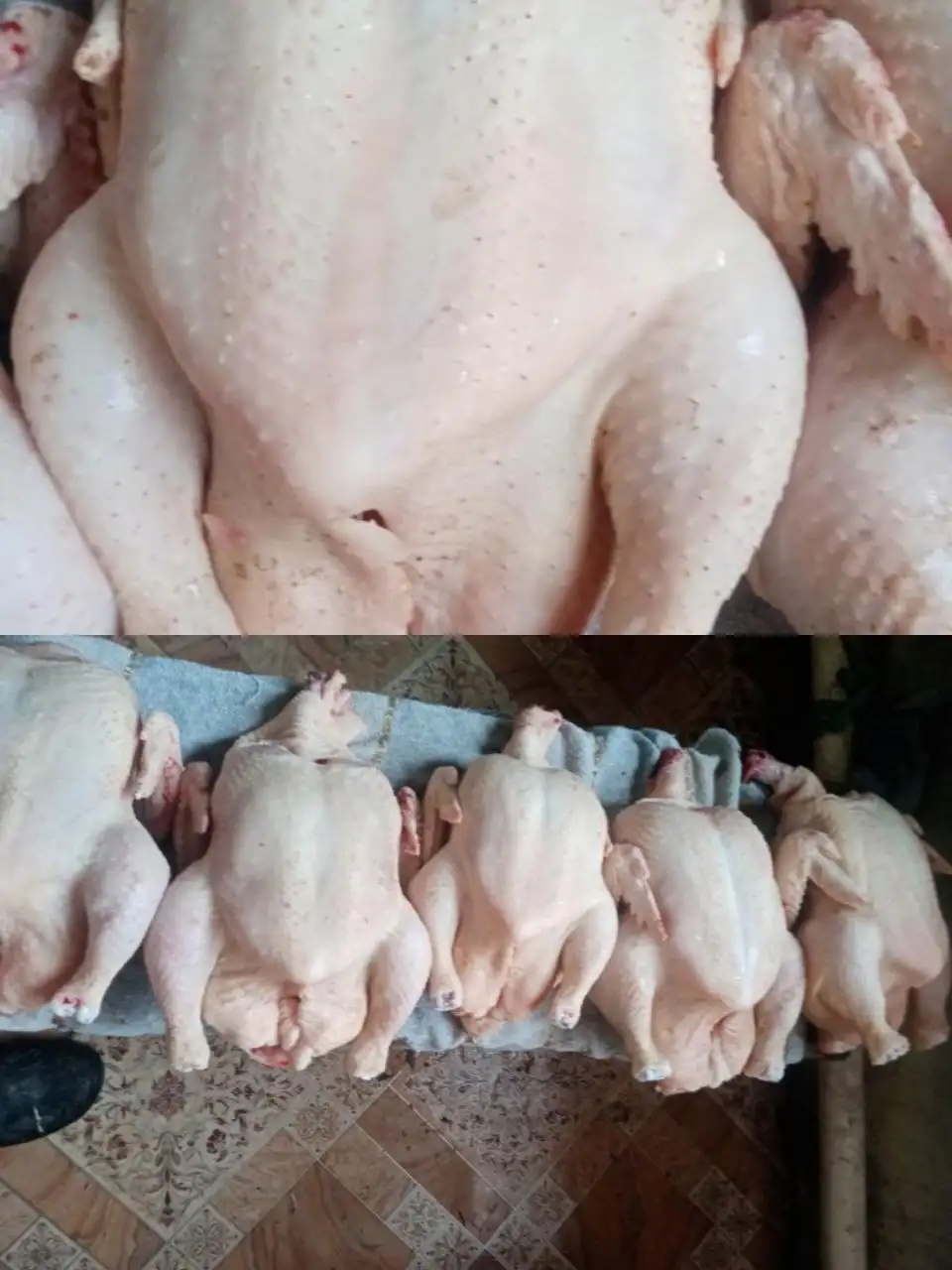 Продажа мяса молодого домашнего бройлера - Продукты питания (Барахолка) в Энгельс