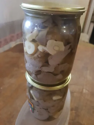 Маринованные грибы - Рукоделие/Хендмейд в Энгельс