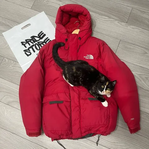 Пуховик The North Face 700 размер XL на аукционе - Одежда в Астрахань