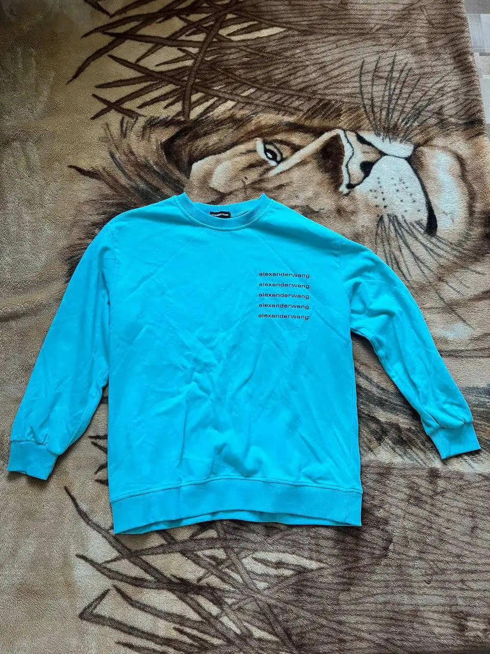 Свитшот Alexander Wang - Верхняя одежда (Одежда) в Астрахань