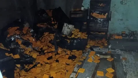 Продам корды бб под РЖД - Овощи и фрукты в Самара