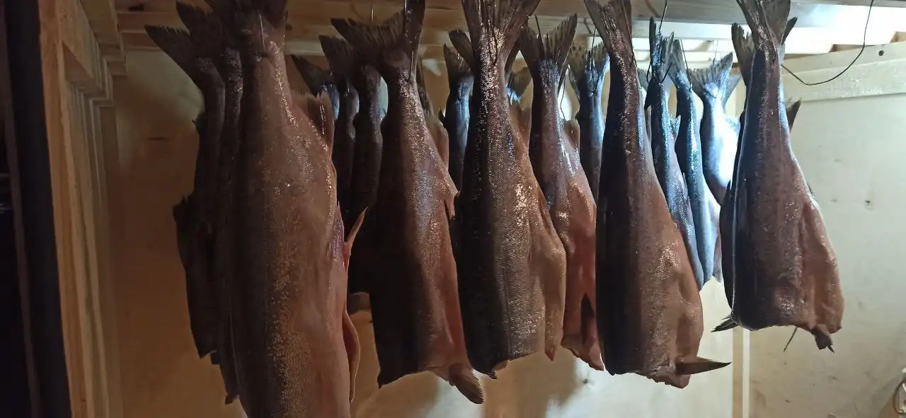 Предзаказ горбуши холодного копчения - Хобби и отдых в Новосибирск