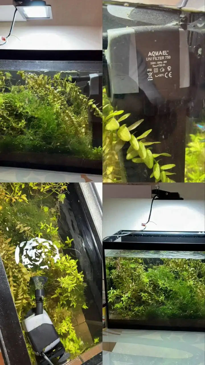 Аквариум на 60 литров