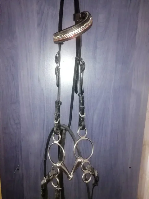 Продам оголовье с олимпийским трензелем - Хобби и отдых в Новосибирск