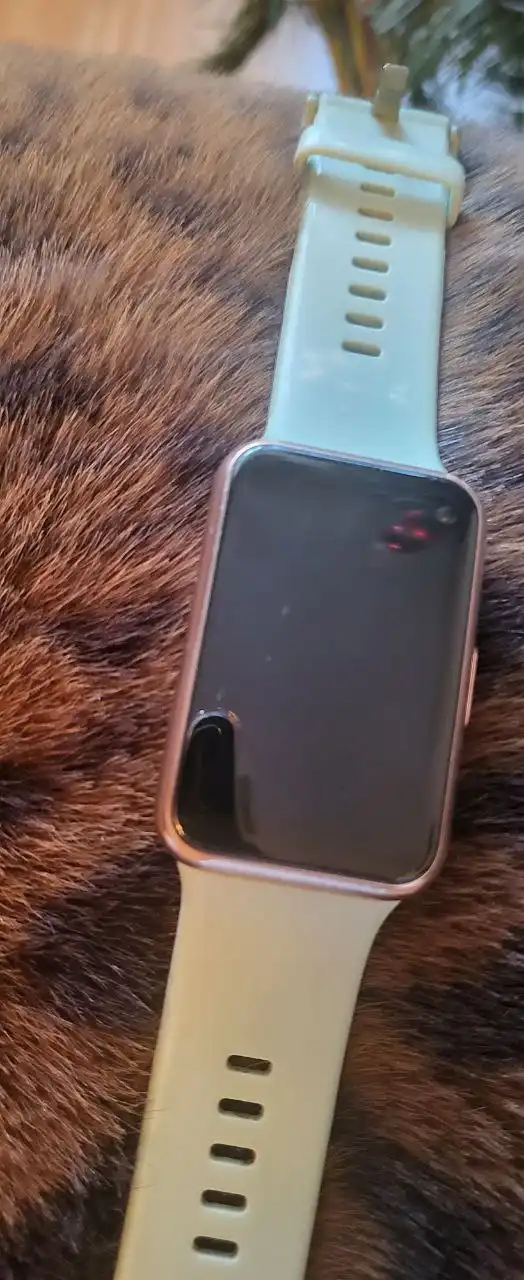 Смарт-часы Huawei Watch Fit - Смарт-часы (Электроника) в Новосибирск