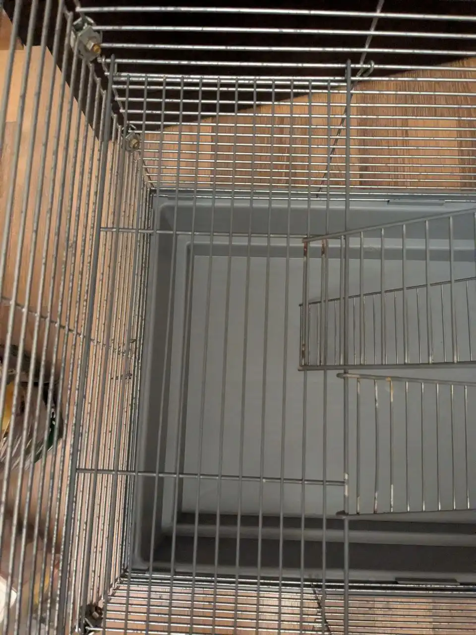 Продажа клетки для грызунов с аксессуарами - Товары для грызунов (Животные) в Новосибирск