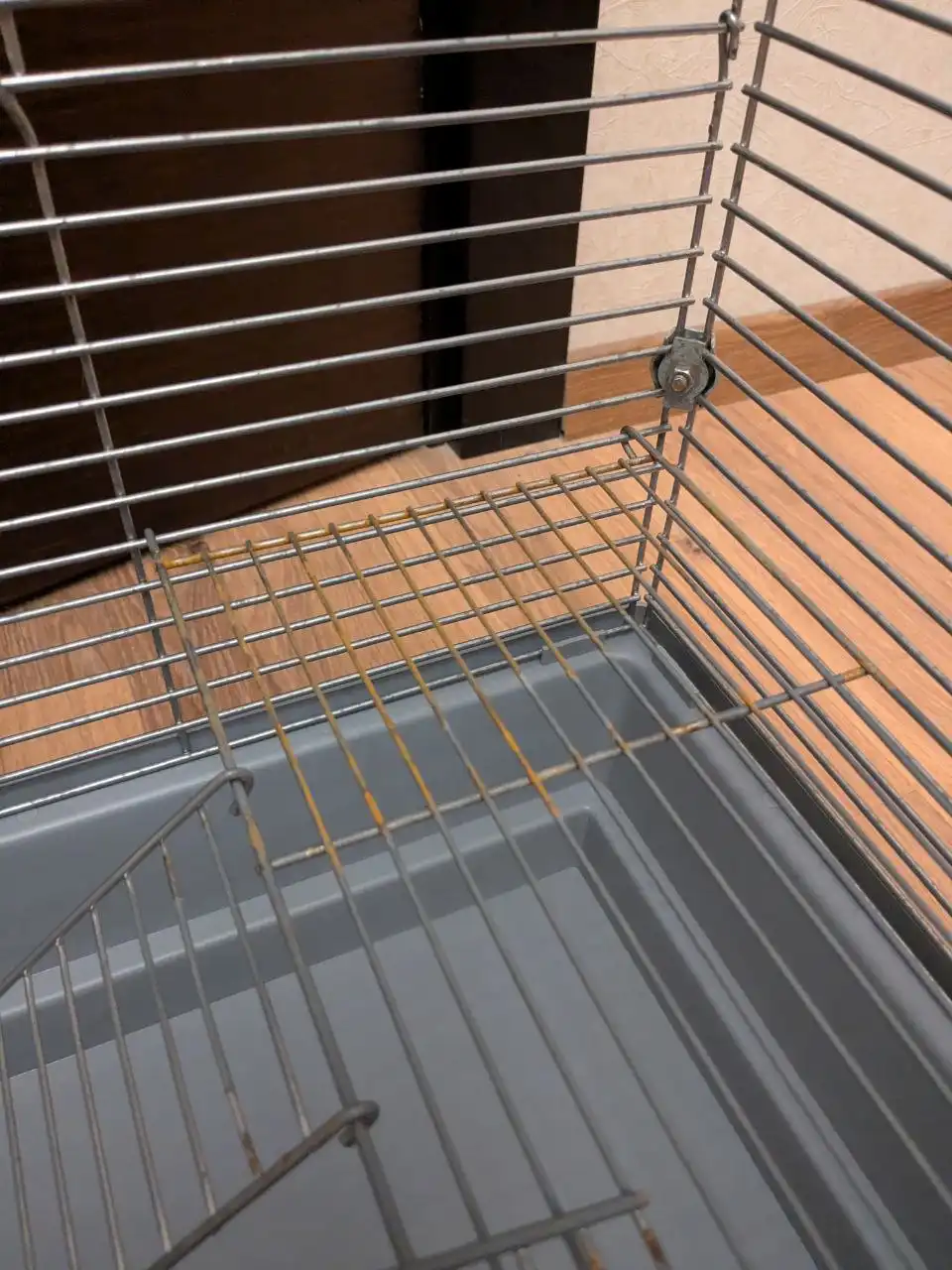 Продажа клетки для грызунов с аксессуарами - Товары для грызунов (Животные) в Новосибирск