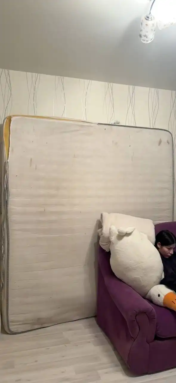 Ортопедический матрас Dreamline 160x200 см - Мебель (Для дома и дачи) в Новосибирск