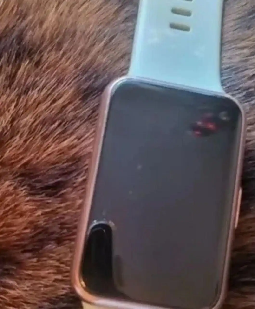 Huawei watch fit - Умные часы (Электроника) в Новосибирск