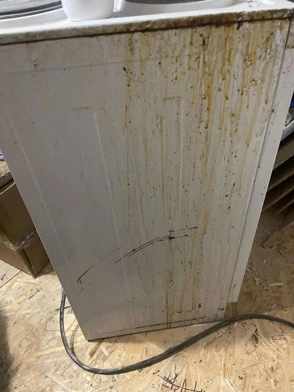 Профессиональный клининг для квартир, офисов и коттеджей - Клининг (Услуги) в Новосибирск