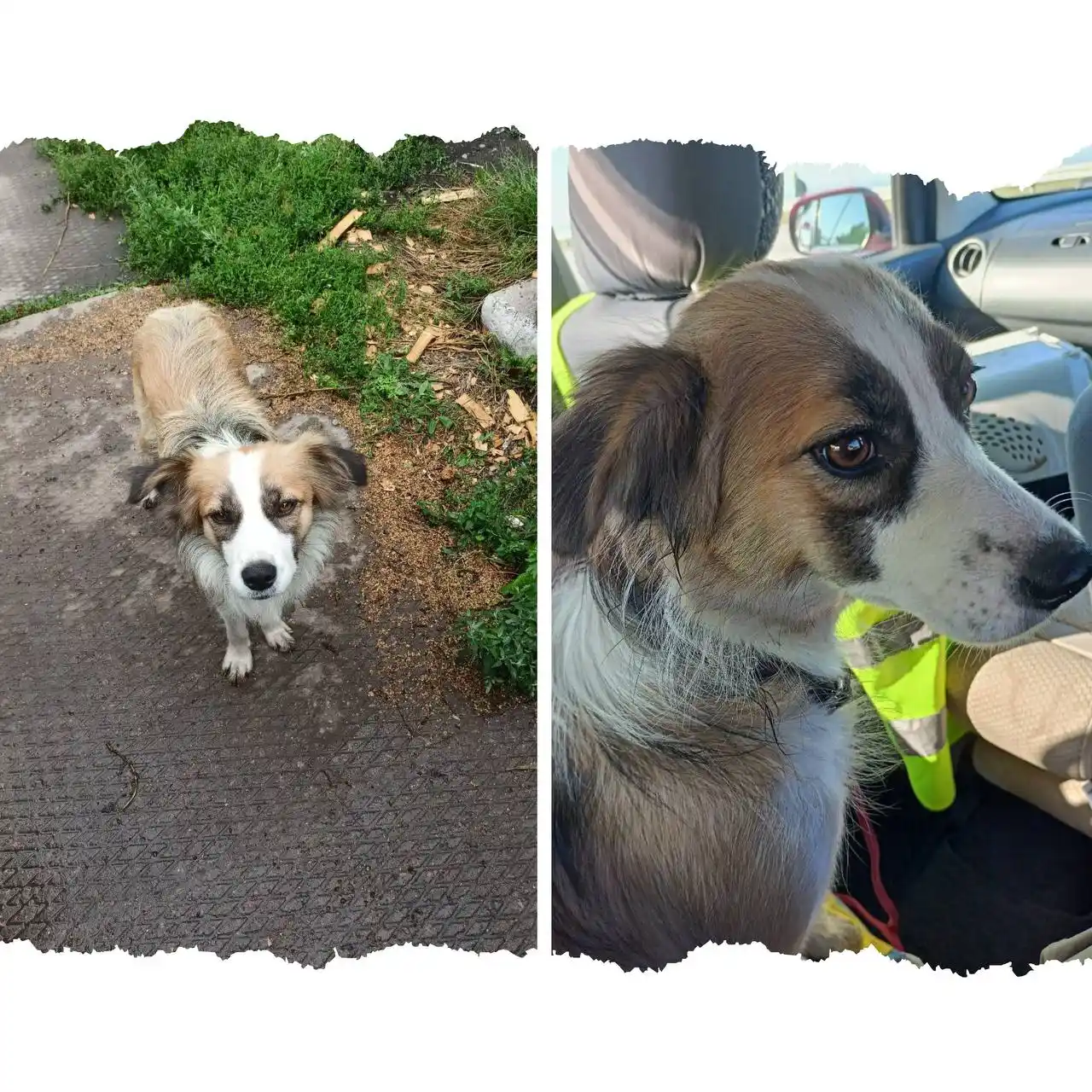 Пристрой молоденькой девочки - частное объявление в Иркутск