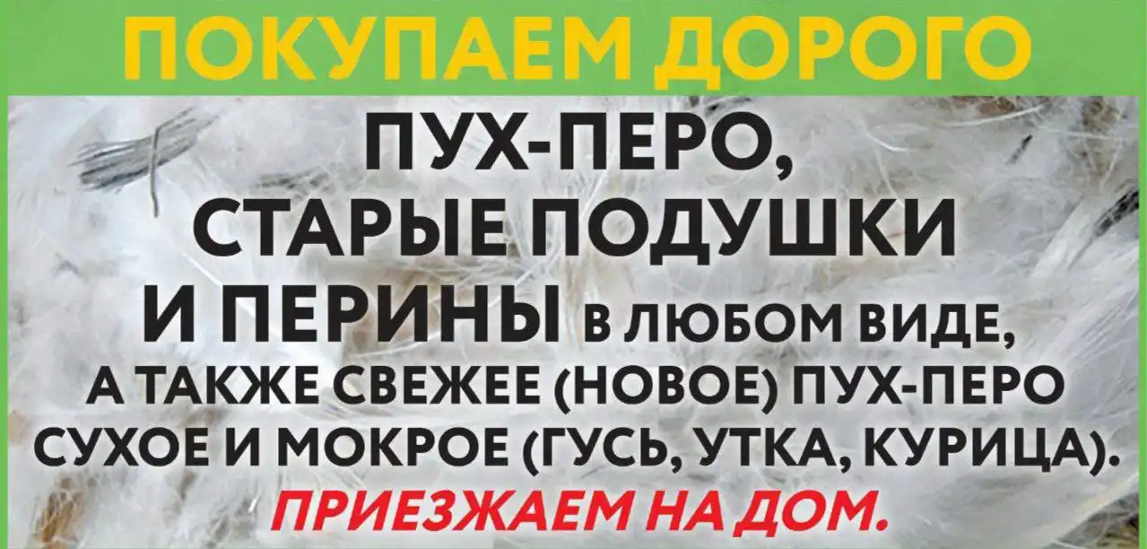 Скупка гусиного, утиного, куриного пуха и пера