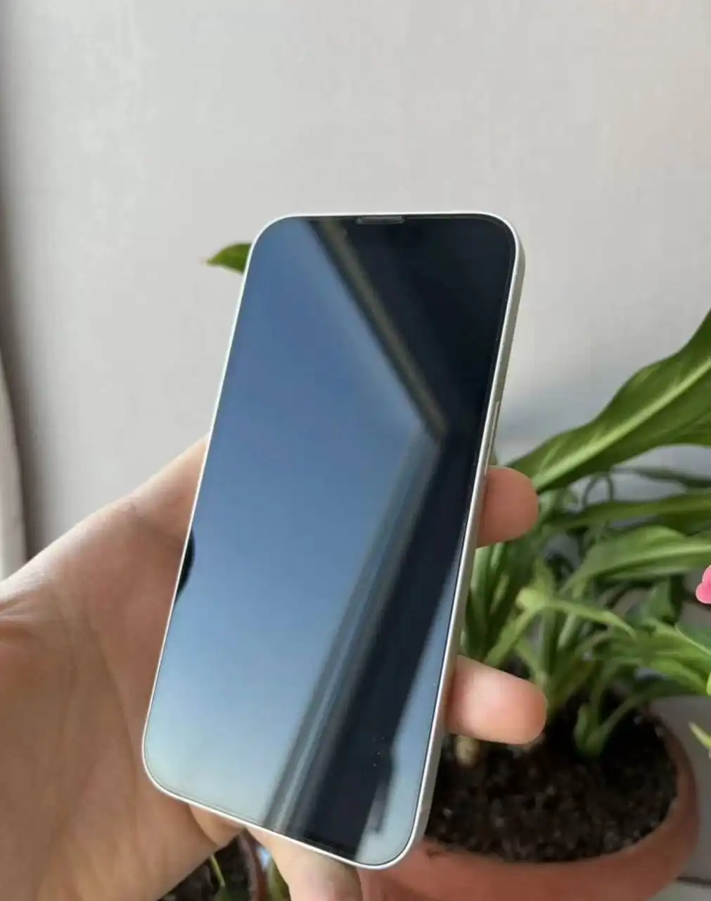 Продам iPhone 13 128gb с замененной батареей - Смартфоны (Электроника) в Оренбург